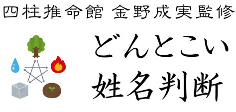 地格24男|地格（地運）の意味と計算方法：二十代までの若年期に影響する。